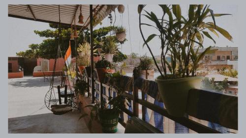 Jodhpur House | ARUNACHAL EMPIRE HOMESTAY