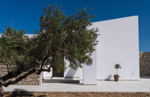 Amoopi Villa | Askelinos Villas