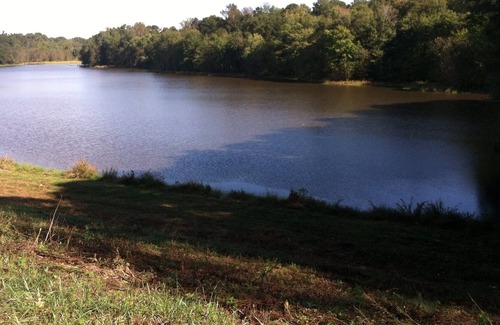 Nicholson Cabin | Athens Log Cabin Getaway -Private Lake, Campfire, Serenity