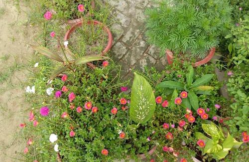 Faizabad House | Atithi home stay and Cloud Kitchen