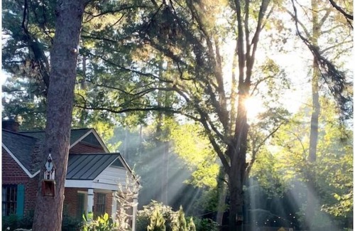 Atlanta Cottage | Atlanta Llama Luxury Cottagen