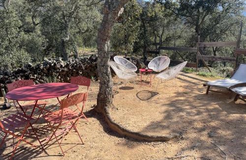 Sorede Bed & Breakfast | Au Soleil Mongol