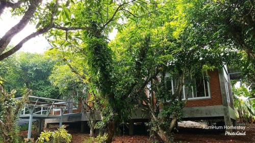 Fang House | Aum Hum Homestay
