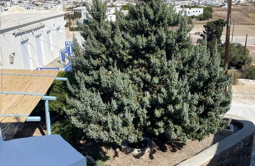 Plaka House | Authentic traditional cycladic house in Plaka