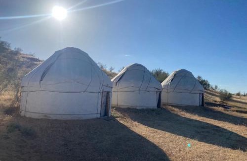 Nurata District Other | Authentic Uzbek Yurt Camp eco-friendly