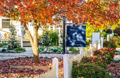 Bright Cottage | Autumn Beauty - Mountain View Cottage 3