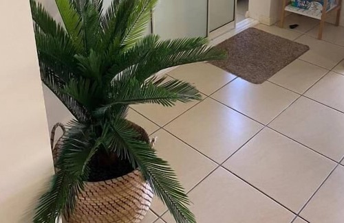 Cranbrook House | AVAIL 3MTH Private, backyard, pool all inclusive