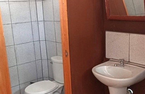 Indiana Cabin | Avatar Amazon Lodge & Canopy Park