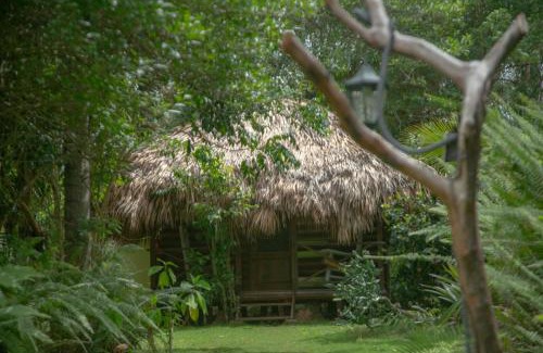 Samana Bed & Breakfast | Aventura Rincon Ecolodge