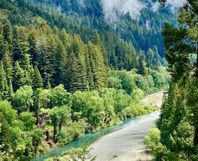 Myers Flat House | Avenue of the Giants River View Home (#1)