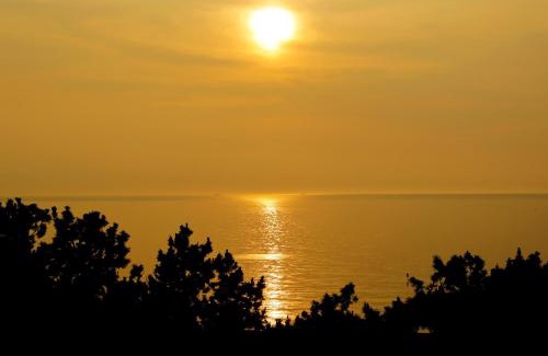 Minamiawaji Hotel | Awaji Hamarikyu