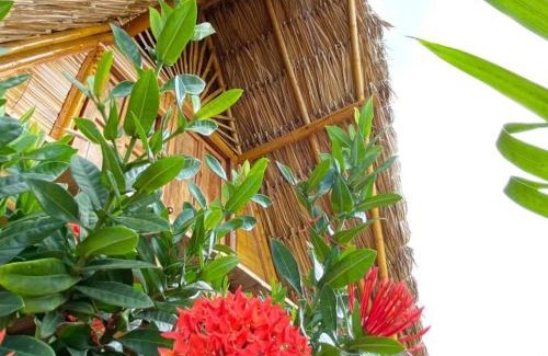 Riohacha Other | Awala Beach Club