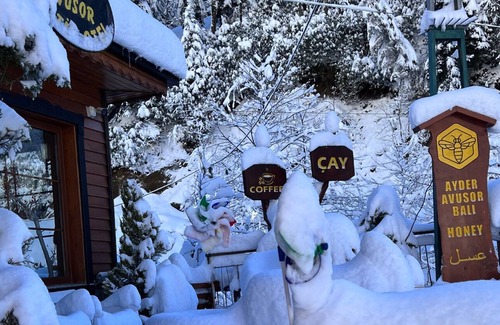 Ayder Yaylasi Hotel | Ayder Avusor Butik Otel