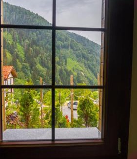 Ayder Yaylasi Apartment | Ayder Elif Apart Daire