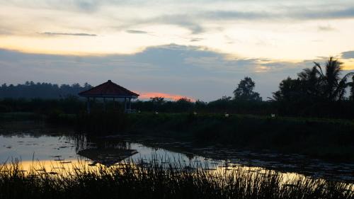 Aturuwella Hotel | Ayubowan Swiss Lanka Bungalow Resort