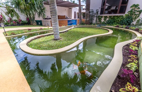 Alfredo V. Bonfil Villa | Azcapri Villa Boutique & Spa 2 full beds -Anemone- NEW!