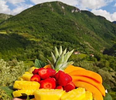Valle dell’Angelo House | Azienda Agricola Ausono