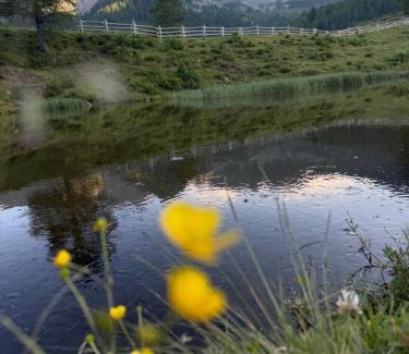 Bresimo Bed & Breakfast | B&B Butterfly