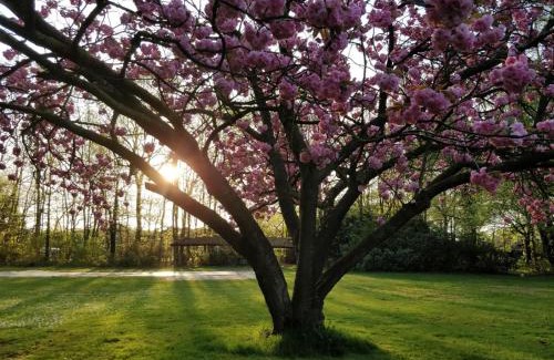 Rooi Bed & Breakfast | B&B Domein Rodin