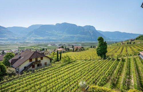 Tramin Apartment | Bacchushof Apartment Chardonnay