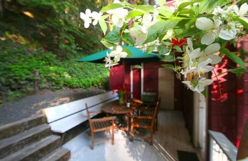 Guerneville House | Back in the Day! Redwoods! Walk to River!! BBQ Grill! Fast WiFi!! Dog Friendly!