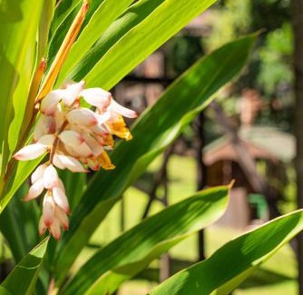 Carilo Hotel | Baden Baden Carilo