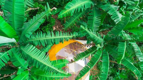 Bojaca Hotel | Bajo el Cielo Glamping San Francisco