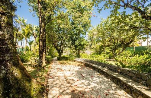 Baleia House | Baleia Marinha