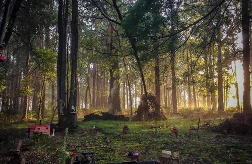 Balingup Cabin | Balingup Heights Hilltop Forest Cottages