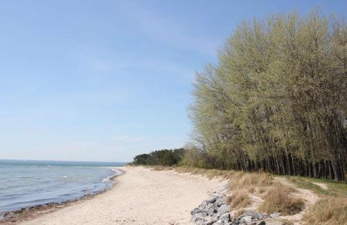 Thiessow Apartment | Balkon mit Meerblick, gratis Nutzung vom AHOI Erlebnisbad und Sauna in Sellin - Haus De niege Wech FeWo 03