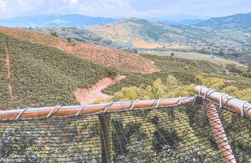 Palestina House | Bambungalow - Poema Glamping