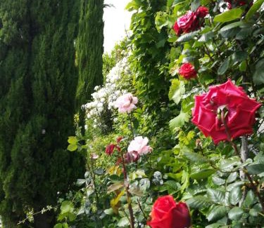 Carataunas House | Bancal de Los Pérez