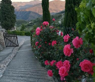 Carataunas House | Bancal de Los Pérez