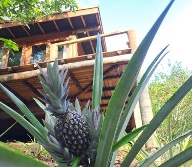 Ilha de Boipeba Cabin | Bangalô do Pôr do Sol Moreré