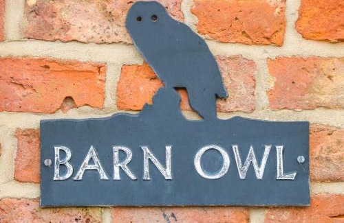 Louth House | Barn Owl