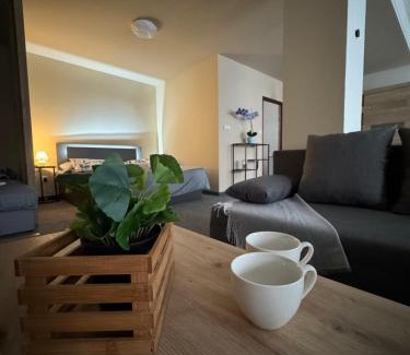 Broumov Apartment | BAROKO Suite