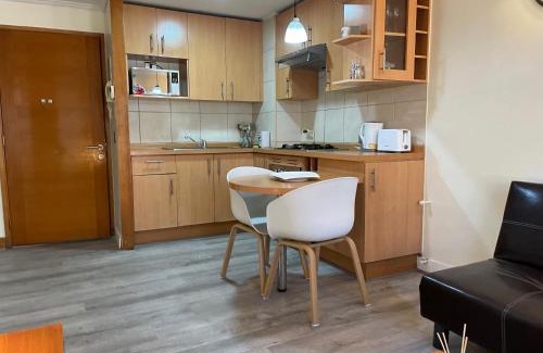 Lastarria Apartment | Barrio Lastarria, Excelentes Apartamentos - Sofia Camilla Propiedades