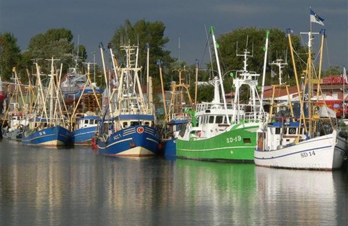 Osterhever Apartment | Bauernhof am Wattenmeer, Ferienwohnung Deichblick