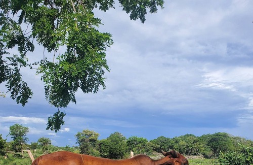 Luperon Apartment | Beach Condo W Pool