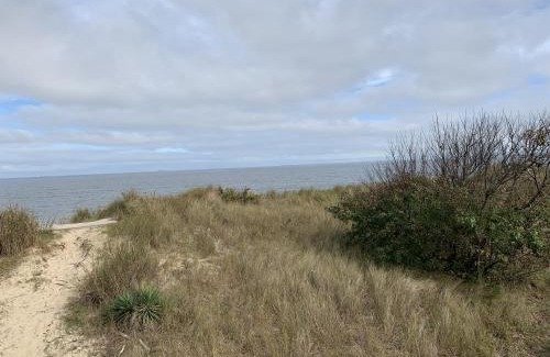 Cottage Line House | Beach Front on the Bay on the Dunes bungalow
