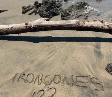 Troncones Apartment | Beachfront Casa Palmillas Troncones with pool and 3rooms