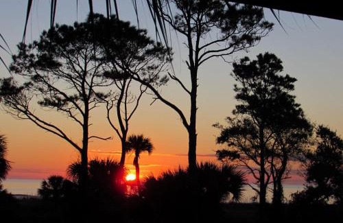 Hilton Head Apartment | Beachfront Condo with Ocean View