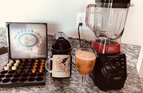 Ixtapa Apartment | Beachfront, spectacular ocean views, gorgeous pools, one bedroom Open Concept