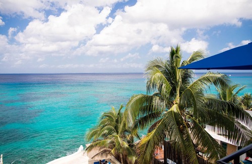 Zona Hotelera Norte Condo | Beachfront Studio for Two-All Amenities half the price NrTown Snorkel A1 NoCoast