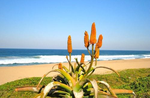 Prince's Grant Golf Estate House | Beachhaven with Inverter & Solar