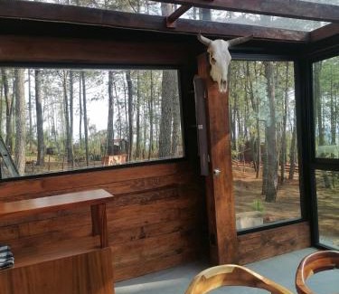 Jimenez House | Beautiful cabin in the middle of the forest