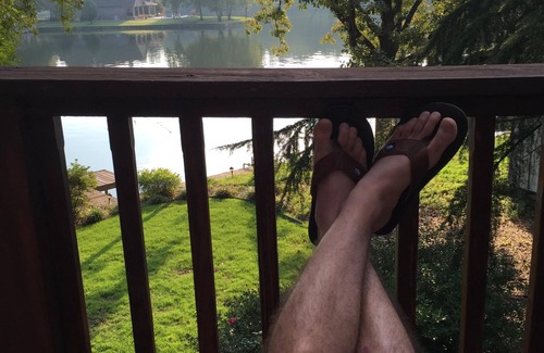 Piney House | Beautiful Cedar Cabin Connection on Lake Hamilton