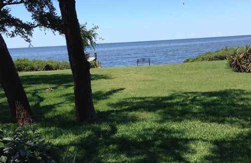 Tarpon Springs House | Beautiful-Direct Gulf of Mexico Home