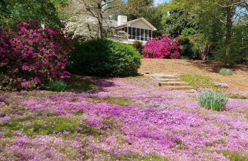 Seneca House | Beautiful lakefront home in quiet cove on Lake Keowee! Minutes from Clemson!