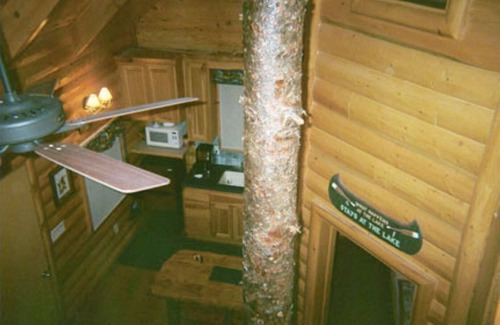Steinauer Cabin | Beautiful Log Cabin ~ "The Drake" ~ On 182 Acres ~ Natural Paradise!